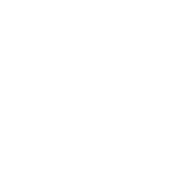 Incoming Software Engineer
